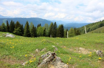 filzmoos-noesslerriedel