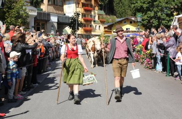 filzmooser-almabtrieb