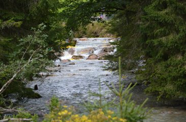 filzmooser-entenrennen