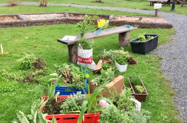 filzmooser-kraeutergarten-3