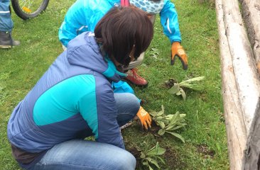 filzmooser-kraeutergarten-4