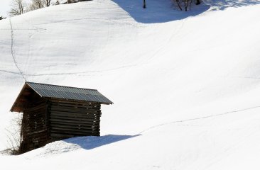 fruehlingshafter-schnee