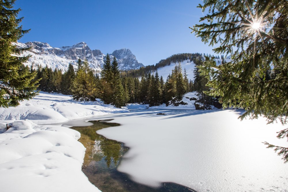fruehlingslandschaft-coen-weesjes