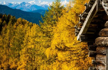 goldener-herbst-in-filzmoos