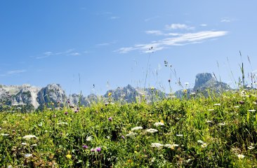 Blick zur Bischofsmütze