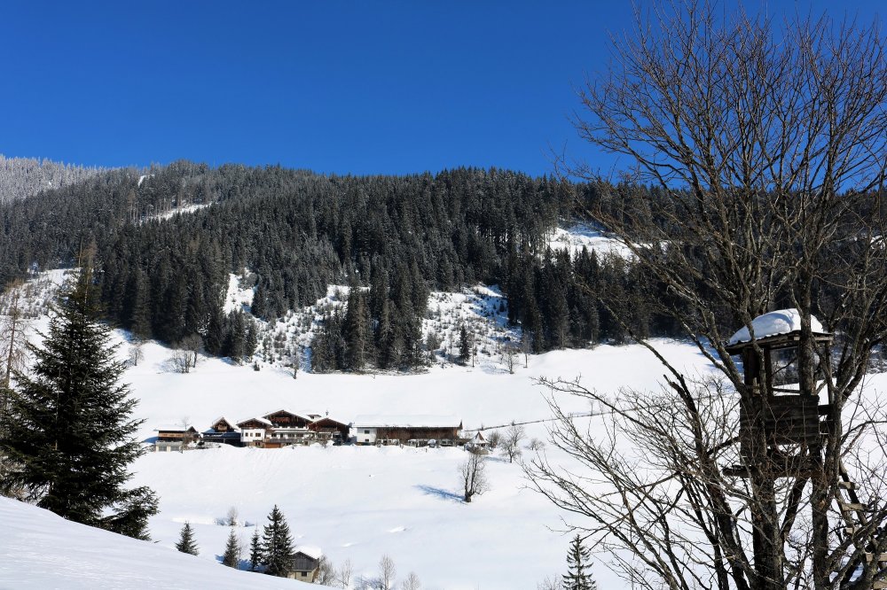 Winterspaziergang ins Gseng