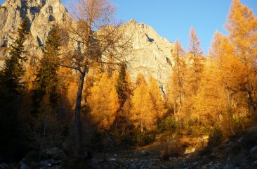 herbstliche-stimmung-am-rinderfeld
