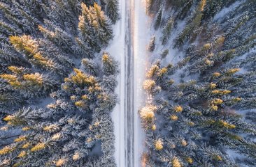 herbstlicher-wintereinbruch