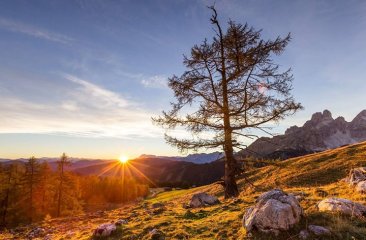 herbstsonne-sulzenalm