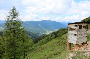 hochsitz-noesslerriedel