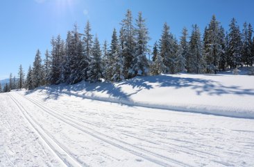 hoehenloipe-rossbrand