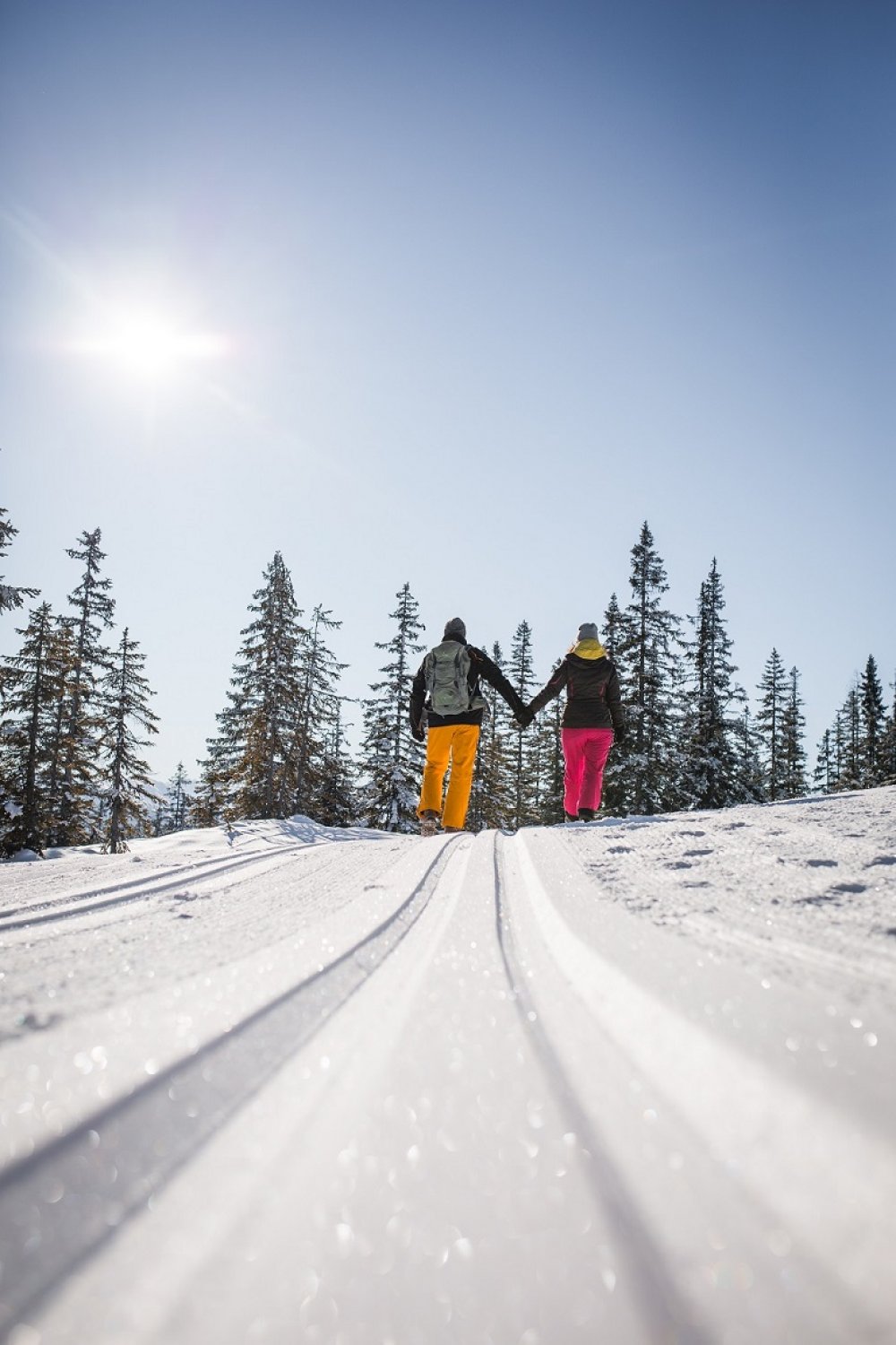 Den Frühling willkommen heißen auf 1.600 Metern Höhe