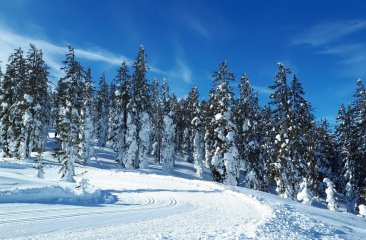 hoehenloipe-rossbrand