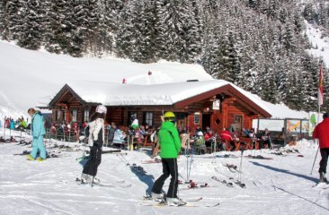 holzwurm-winter-schifahren