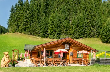 holzwurmhuette-im-sommer