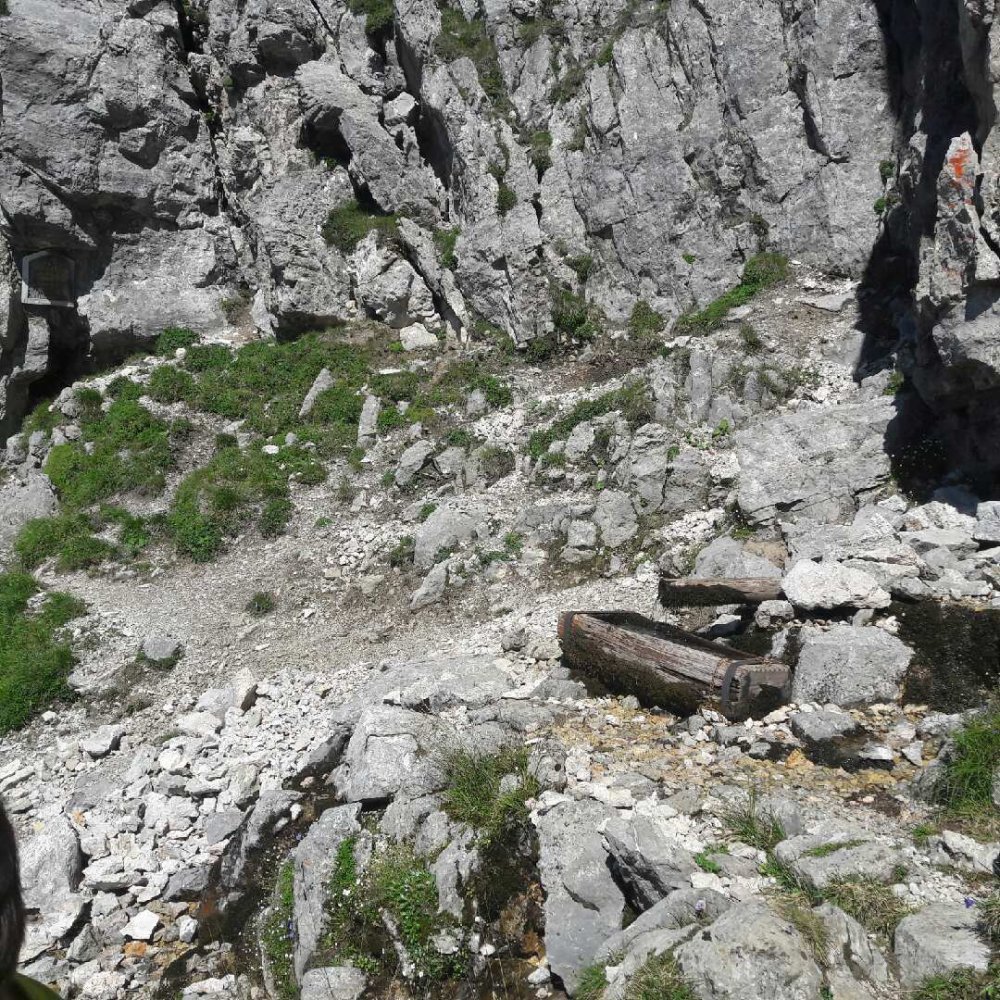 Verjüngungs-Wanderung aufs 