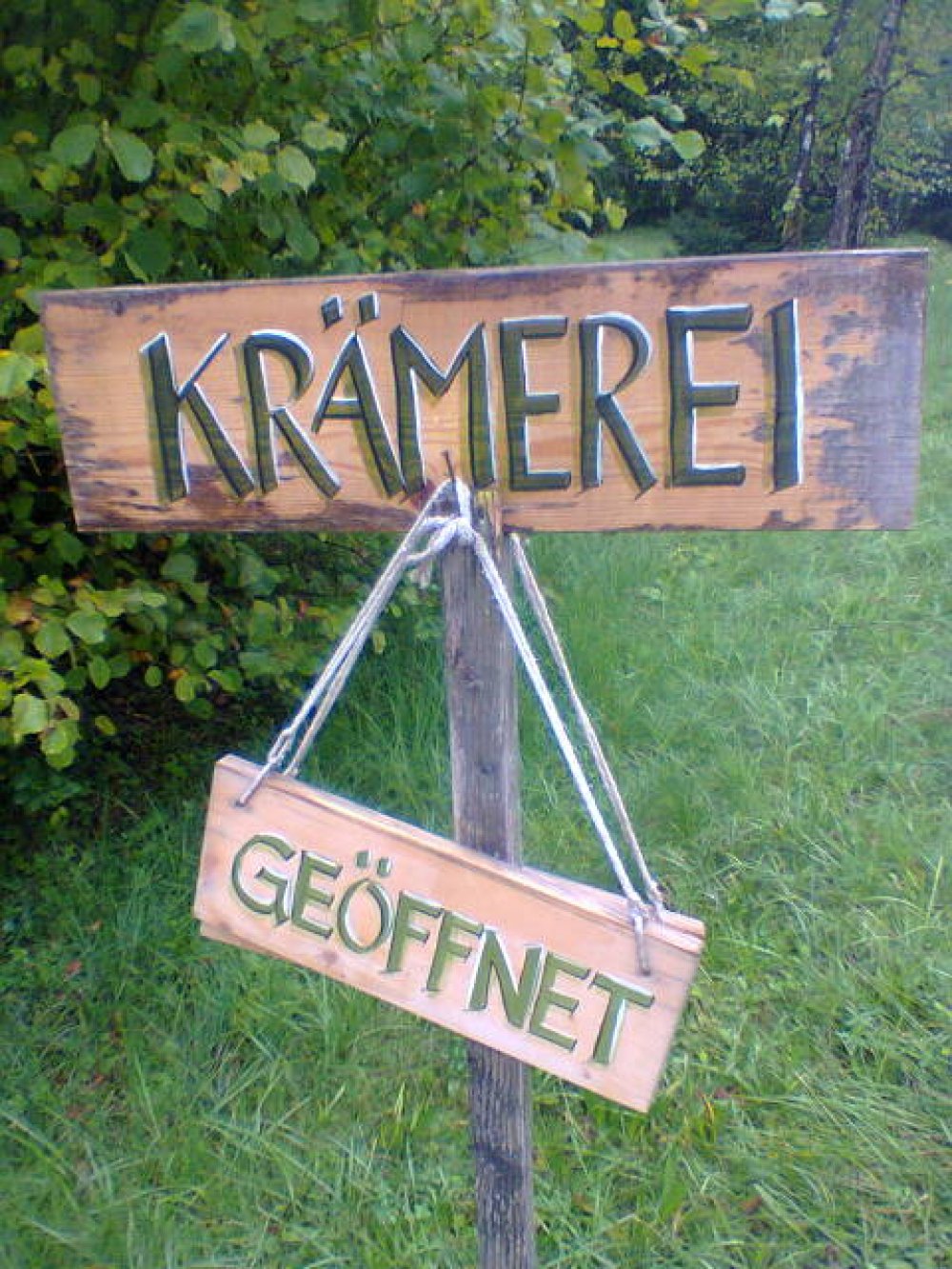 kraemerei