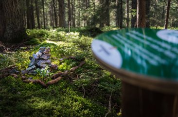 Kraftplatz: Reinigungsplatz im Hachauer Wald