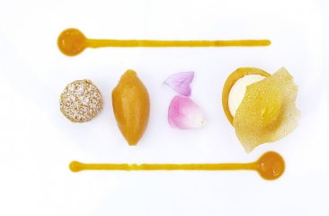 kreation-johanna-maier