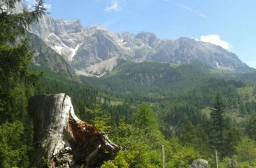 landschaft-auf-der-bachlalm
