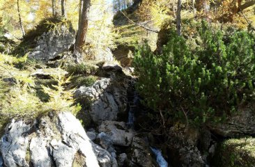 landschaft-steiglpass