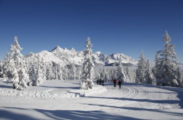 langlaufen-hoehenloipe-rossbrand