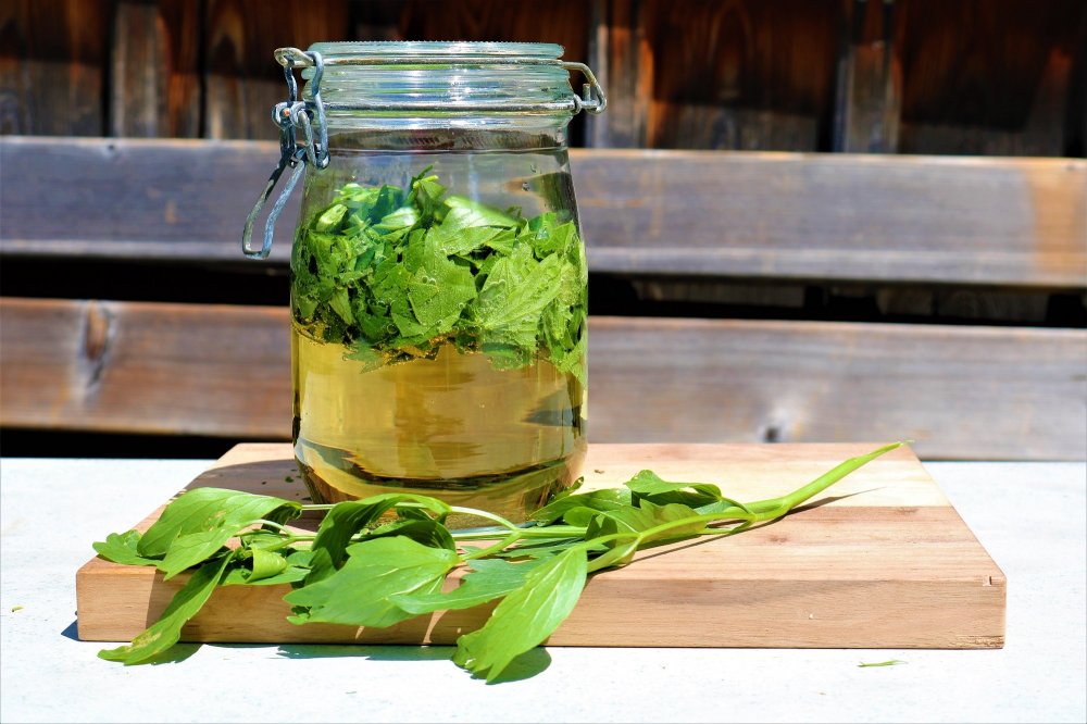 Selbstgemachter Liebstöckel-Wein