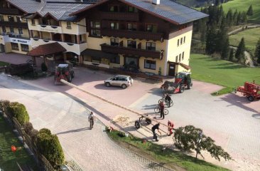 maibaum-vorbereitungen