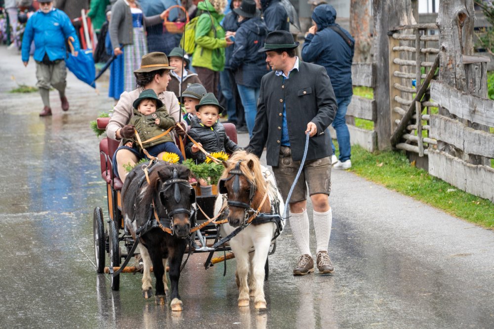 minipony-gespann-krahlehenhof
