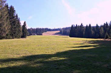 moosalm-kinderwanderweg3