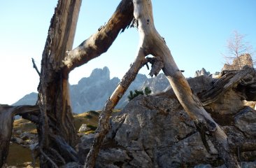 natur-am-sulzenschneid