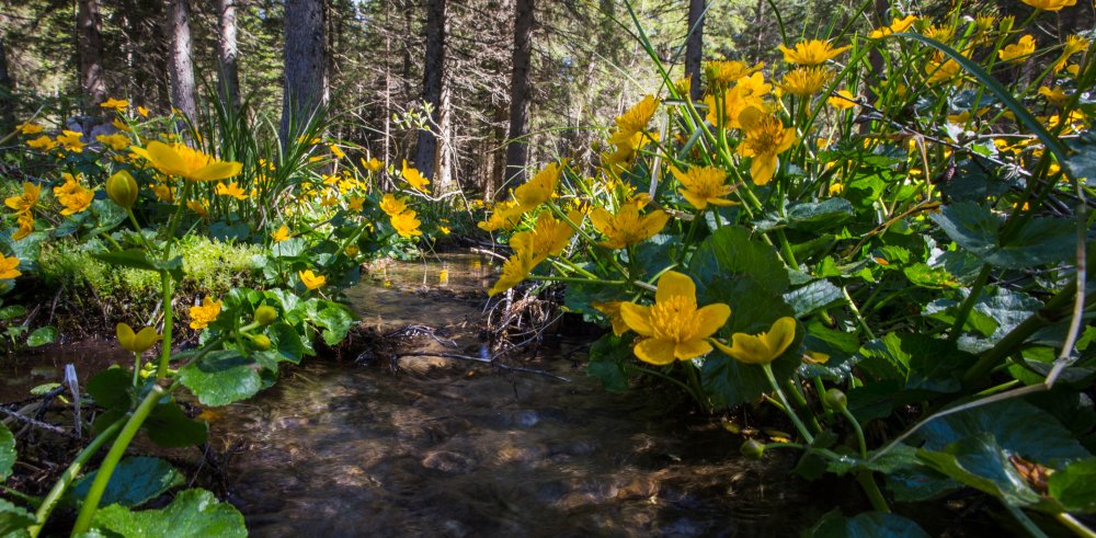 Einmal tief durchatmen...