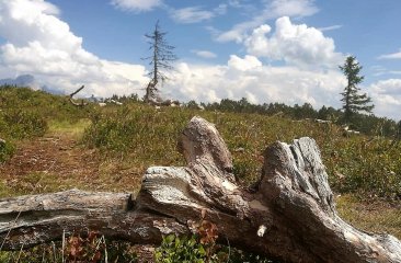 naturschutzgebiet-gerzkopf
