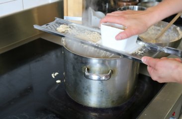 nocken_gsenghof-alm2