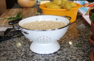 nocken_gsenghof-alm3