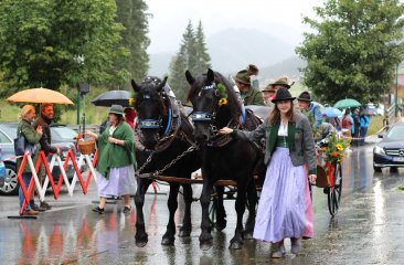 norikergespann-vom-wallehenhof
