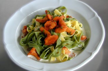 nudeln-mit-eierschwammerl