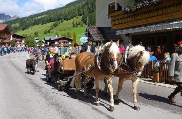 pferdekutsche-beim-almabtrieb