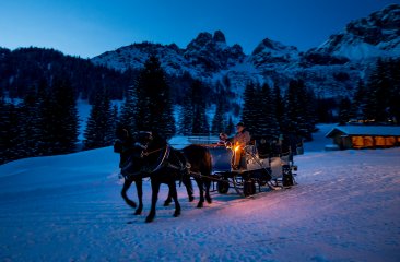 pferdekutschenfahrt-abends-ikarus