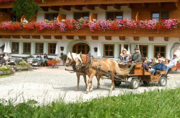pferdekutschenfahrten-hammerhof