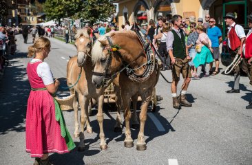 pferdekutschengespann