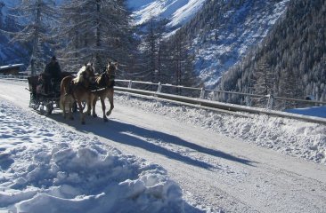 pferdeschlittenfahrt-zum-valentinstag