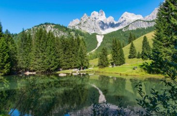 picknick-am-almsee-pilzstube