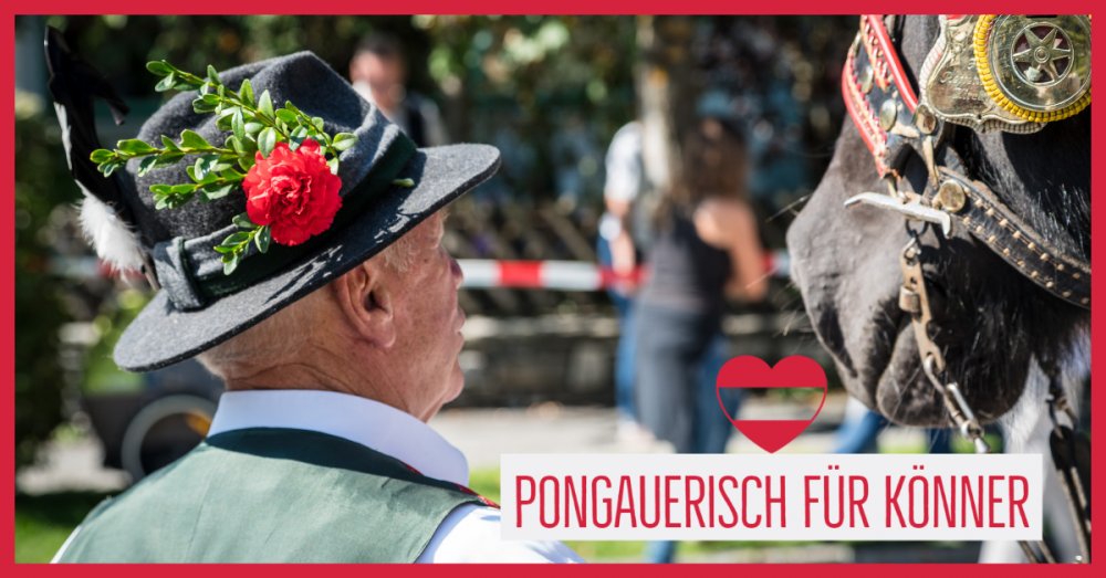 Pongauerisch für Könner – Episode 3