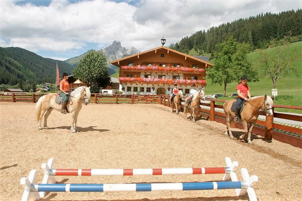 Eine Pferdeliebhaberin erzählt