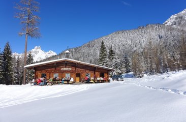 rettensteinhuette-filzmoos