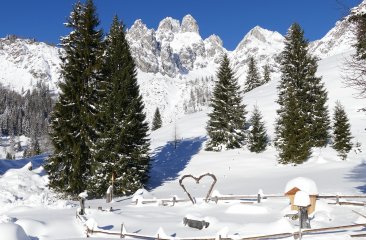 ruhige-platzerl-filzmoos9