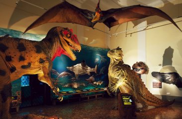 saurierhalle_haus-der-natur