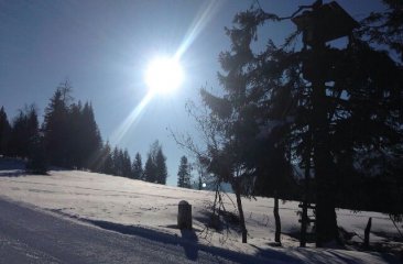 schnee-und-sonnenschein