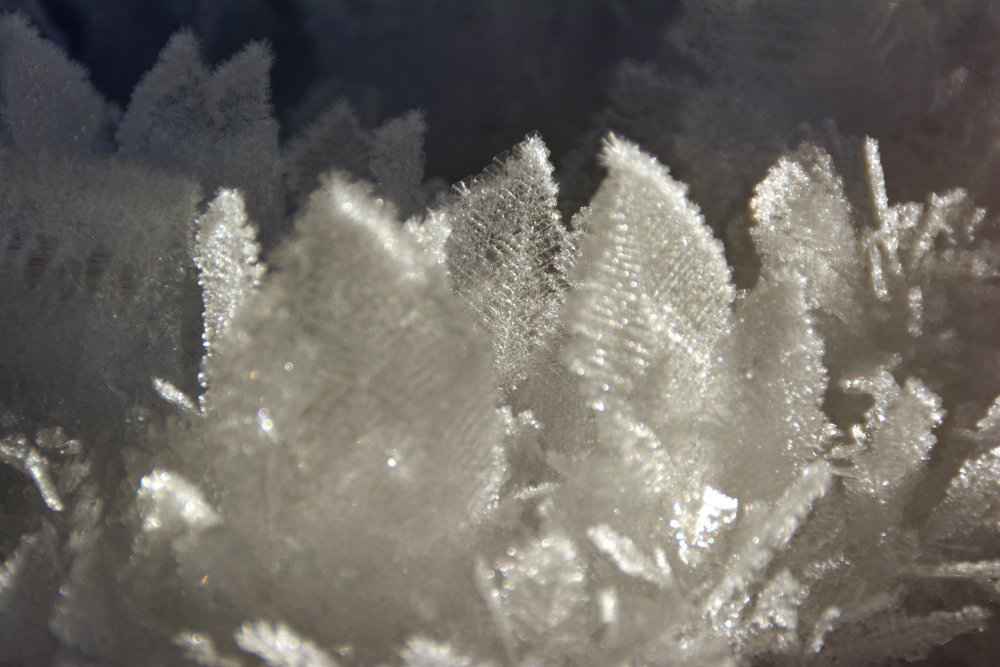 Maria Empfängnis am 8. Dezember